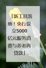 新工具落地！央行设立5000亿元服务消费与养老再贷款