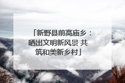 新野县前高庙乡：晒出文明新风景 共筑和美新乡村