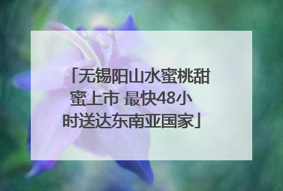 无锡阳山水蜜桃甜蜜上市 最快48小时送达东南亚国家