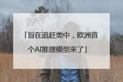 旨在追赶美中，欧洲首个AI推理模型来了