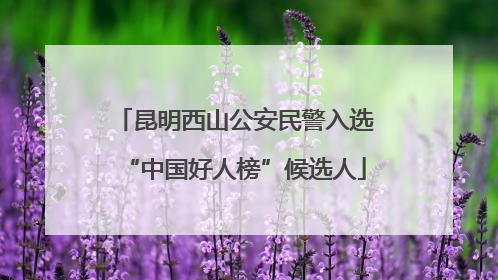 昆明西山公安民警入选“中国好人榜”候选人