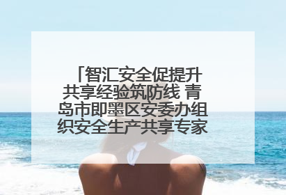 智汇安全促提升 共享经验筑防线 青岛市即墨区安委办组织安全生产共享专家现场观摩学习活动