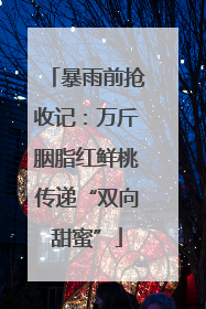 暴雨前抢收记：万斤胭脂红鲜桃传递“双向甜蜜”