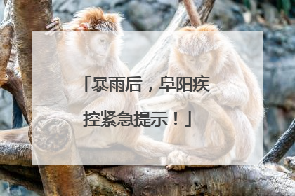 暴雨后，阜阳疾控紧急提示！