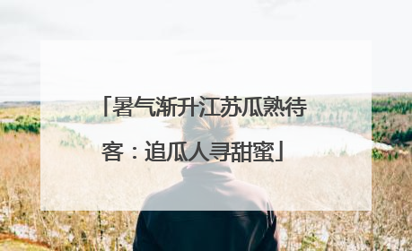 暑气渐升江苏瓜熟待客：追瓜人寻甜蜜