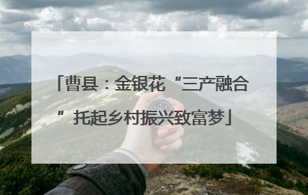 曹县：金银花“三产融合”托起乡村振兴致富梦