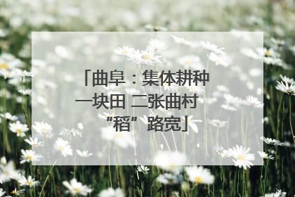 曲阜：集体耕种一块田 二张曲村“稻”路宽