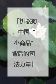 机器狗、中国“小商品”背后的司法力量