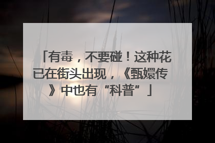 有毒，不要碰！这种花已在街头出现，《甄嬛传》中也有“科普”