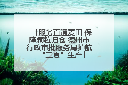 服务直通麦田 保障颗粒归仓 德州市行政审批服务局护航“三夏”生产