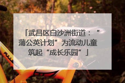 武昌区白沙洲街道：“蒲公英计划”为流动儿童筑起“成长乐园”