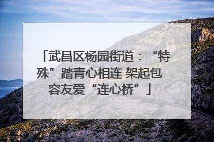 武昌区杨园街道：“特殊”踏青心相连 架起包容友爱“连心桥”