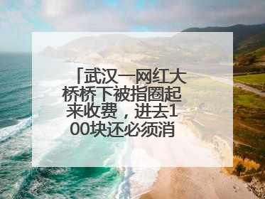 武汉一网红大桥桥下被指圈起来收费，进去100块还必须消费？当地回应
