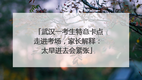 武汉一考生特意卡点走进考场，家长解释：太早进去会紧张
