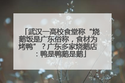武汉一高校食堂称“烧鹅饭是广东俗称，食材为烤鸭”？广东多家烧鹅店：鸭是鸭鹅是鹅