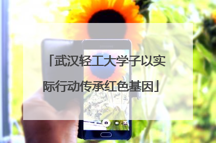武汉轻工大学子以实际行动传承红色基因
