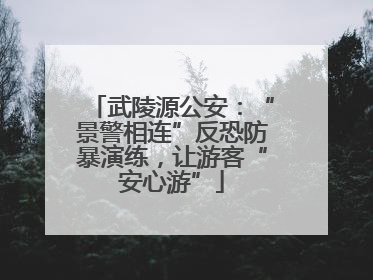 武陵源公安：“景警相连”反恐防暴演练，让游客“安心游”