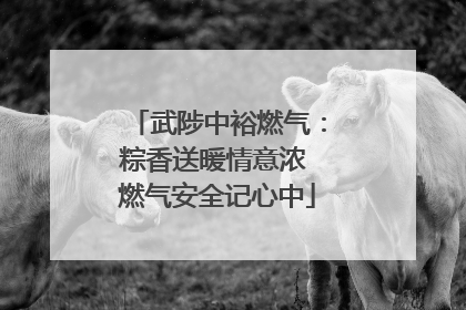 武陟中裕燃气：粽香送暖情意浓 燃气安全记心中