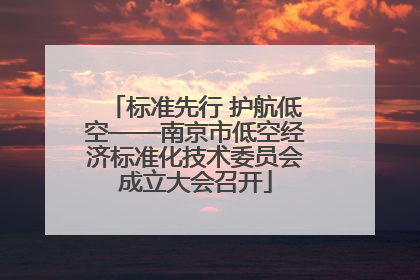标准先行 护航低空——南京市低空经济标准化技术委员会成立大会召开