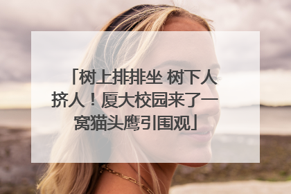 树上排排坐 树下人挤人！厦大校园来了一窝猫头鹰引围观