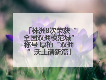株洲8次荣获“全国双拥模范城”称号 厚植“双拥”沃土谱新篇