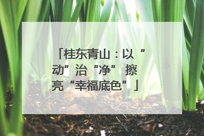 桂东青山：以“动”治“净” 擦亮“幸福底色”
