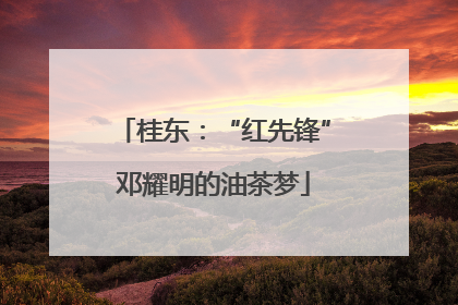桂东：“红先锋”邓耀明的油茶梦