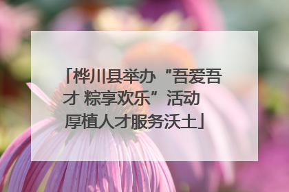桦川县举办“吾爱吾才 粽享欢乐”活动 厚植人才服务沃土