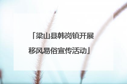梁山县韩岗镇开展移风易俗宣传活动