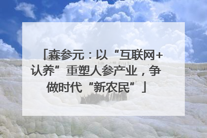 森参元：以“互联网+认养”重塑人参产业，争做时代“新农民”