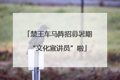 楚王车马阵招募暑期“文化宣讲员”啦