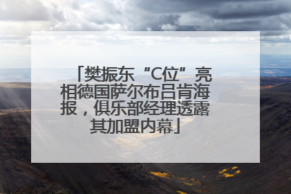 樊振东“C位”亮相德国萨尔布吕肯海报，俱乐部经理透露其加盟内幕