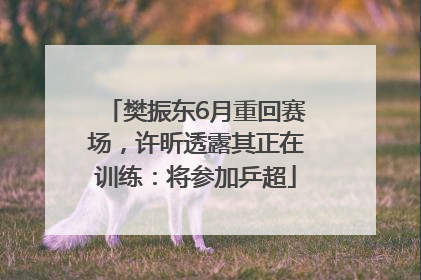 樊振东6月重回赛场，许昕透露其正在训练：将参加乒超