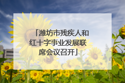 潍坊市残疾人和红十字事业发展联席会议召开