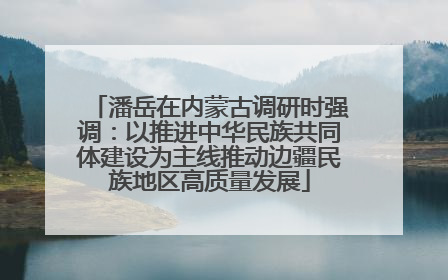 潘岳在内蒙古调研时强调：以推进中华民族共同体建设为主线推动边疆民族地区高质量发展
