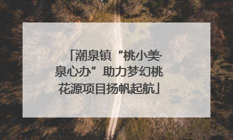 潮泉镇“桃小美·泉心办”助力梦幻桃花源项目扬帆起航