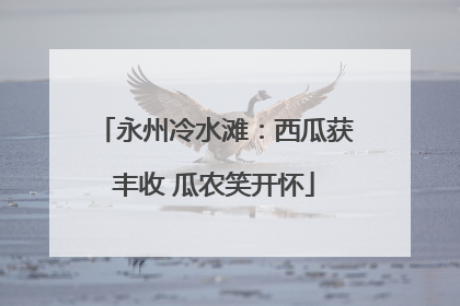 永州冷水滩：西瓜获丰收 瓜农笑开怀