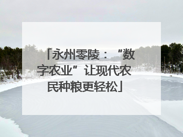 永州零陵：“数字农业”让现代农民种粮更轻松
