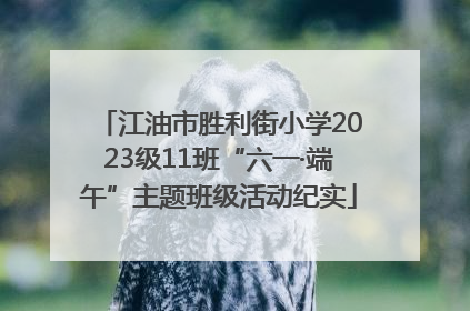 江油市胜利街小学2023级11班“六一·端午”主题班级活动纪实
