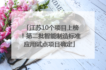 江苏10个项目上榜！第二批智能制造标准应用试点项目确定