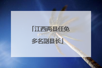 江西两县任免多名副县长