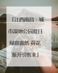 江西南昌：城市湿地公园夏日绿意盎然 荷花渐开引客来