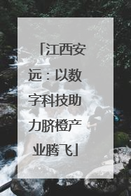 江西安远：以数字科技助力脐橙产业腾飞