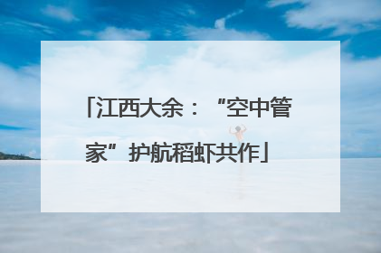 江西大余：“空中管家”护航稻虾共作