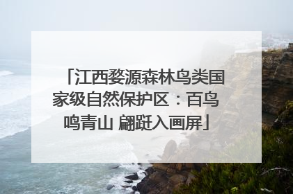 江西婺源森林鸟类国家级自然保护区：百鸟鸣青山 翩跹入画屏