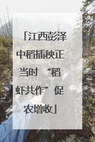 江西彭泽中稻插秧正当时 “稻虾共作”促农增收