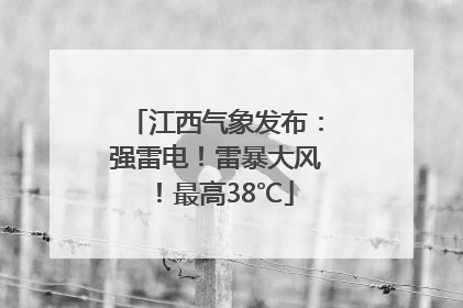 江西气象发布：强雷电！雷暴大风！最高38℃