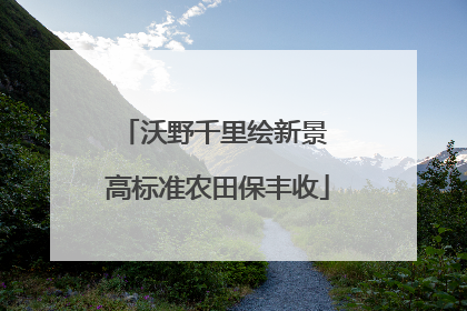 沃野千里绘新景 高标准农田保丰收