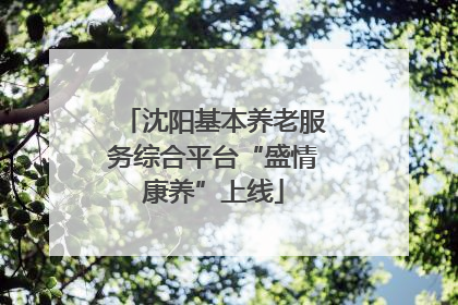 沈阳基本养老服务综合平台“盛情康养”上线
