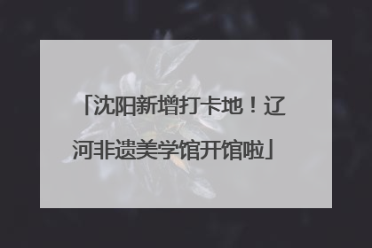 沈阳新增打卡地！辽河非遗美学馆开馆啦